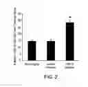 Fig. 03 - Pro-Neurogenic Compounds