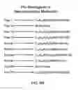 Fig. 08 - Pro-Neurogenic Compounds