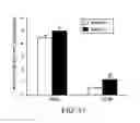 Fig. 16 - Pro-Neurogenic Compounds