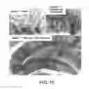 Fig. 22 - Pro-Neurogenic Compounds