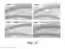 Fig. 24 - Pro-Neurogenic Compounds