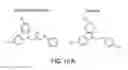 Fig. 27 - Pro-Neurogenic Compounds