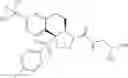 Fig. 151 - Tricyclic sulfones as ROR gamma modulators