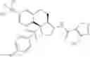 Fig. 243 - Tricyclic sulfones as ROR gamma modulators