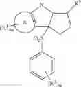 Fig. 421 - Tricyclic sulfones as ROR gamma modulators