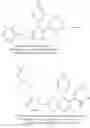 Fig. 628 - THERAPEUTIC COMPOUNDS