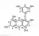 Fig. 02 - Eckol derivatives, methods of synthesis and uses thereof