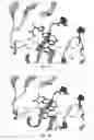 Fig. 04 - Benzoxazepin oxazolidinone compounds and methods of use