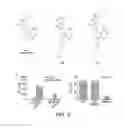 Fig. 04 - Compounds
