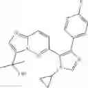 Fig. 554 - TGF-β inhibitors