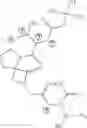 Fig. 52 - Spiro-lactam NMDA receptor modulators and uses thereof