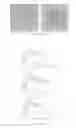 Fig. 08 - Bortezomib-based delivery system