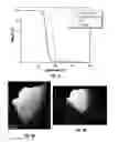 Fig. 04 - Methods of making metal halide perovskites