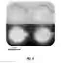 Fig. 06 - Methods of making metal halide perovskites