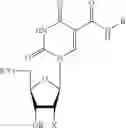 Fig. 02 - 5-position modified pyrimidines and their use
