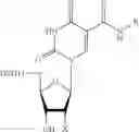 Fig. 07 - 5-position modified pyrimidines and their use