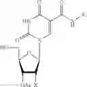Fig. 08 - 5-position modified pyrimidines and their use