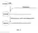 Fig. 03 - Multisignal labeling reagents and processes and uses therefor