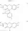 Fig. 06 - Multisignal labeling reagents and processes and uses therefor