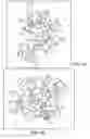 Fig. 07 - Pulse combustion drying of proteins