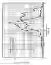 Fig. 08 - Pulse combustion drying of proteins