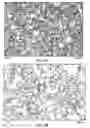 Fig. 09 - Pulse combustion drying of proteins