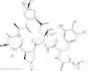 Fig. 07 - Substituted urea depsipeptide analogs as activators of the ClpP endopeptidase