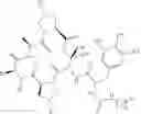 Fig. 09 - Substituted urea depsipeptide analogs as activators of the ClpP endopeptidase