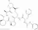 Fig. 260 - Substituted urea depsipeptide analogs as activators of the ClpP endopeptidase