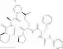 Fig. 262 - Substituted urea depsipeptide analogs as activators of the ClpP endopeptidase
