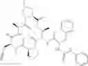 Fig. 303 - Substituted urea depsipeptide analogs as activators of the ClpP endopeptidase