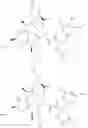Fig. 35 - Substituted urea depsipeptide analogs as activators of the ClpP endopeptidase