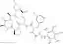 Fig. 53 - Substituted urea depsipeptide analogs as activators of the ClpP endopeptidase