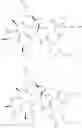 Fig. 74 - Substituted urea depsipeptide analogs as activators of the ClpP endopeptidase