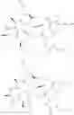 Fig. 75 - Substituted urea depsipeptide analogs as activators of the ClpP endopeptidase