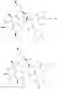 Fig. 80 - Substituted urea depsipeptide analogs as activators of the ClpP endopeptidase