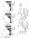 Fig. 10 - High affinity CD47 analogs