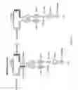Fig. 04 - RECOMBINANT pMHC CLASS II MOLECULES