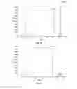 Fig. 06 - RECOMBINANT pMHC CLASS II MOLECULES