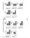 Fig. 10 - RECOMBINANT pMHC CLASS II MOLECULES