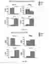 Fig. 11 - RECOMBINANT pMHC CLASS II MOLECULES