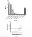 Fig. 18 - RECOMBINANT pMHC CLASS II MOLECULES