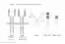 Fig. 02 - VEGF-binding protein for blockade of angiogenesis