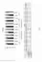 Fig. 04 - Process for a preparation of the modified porcine plasma fibronectin for enhance wound healing