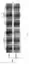 Fig. 06 - Process for a preparation of the modified porcine plasma fibronectin for enhance wound healing