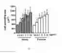 Fig. 09 - Process for a preparation of the modified porcine plasma fibronectin for enhance wound healing