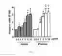 Fig. 10 - Process for a preparation of the modified porcine plasma fibronectin for enhance wound healing