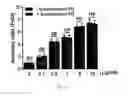 Fig. 13 - Process for a preparation of the modified porcine plasma fibronectin for enhance wound healing