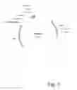 Fig. 09 - FIBRONECTIN-BASED BINDING MOLECULES AND USES THEREOF