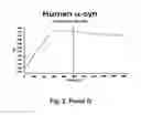 Fig. 07 - Antibodies for the treatment of synucleinopathy